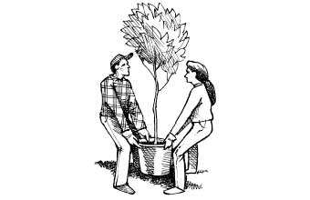 Two people lifting a heavy potted tree