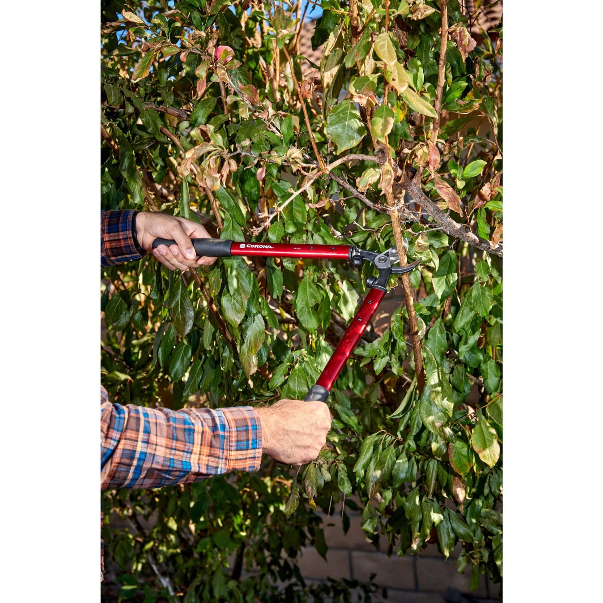 Corona 19" Vine Lopper