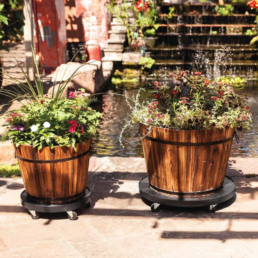 DeVault Standard Plant Dollies