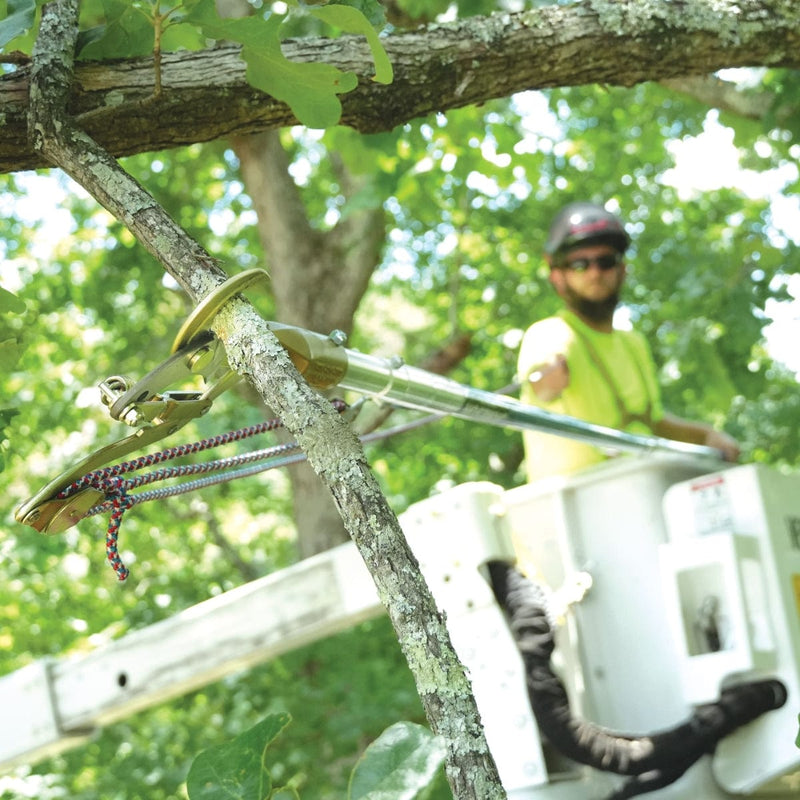 Professional arborist in a cherry picker cutting branches from a tree with a durable pruner.
