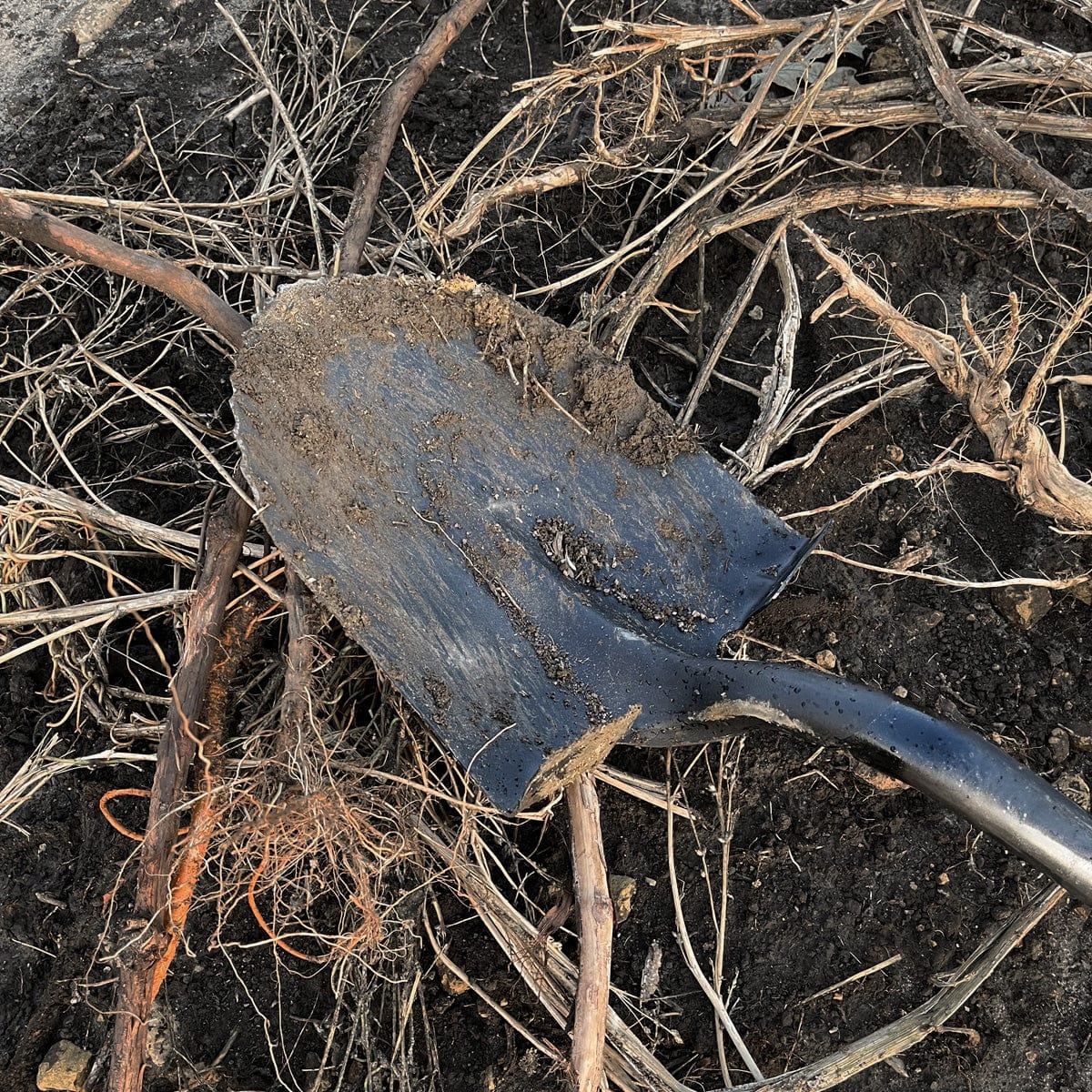 Gemplers Sawtooth Round Point Shovel with D-Grip