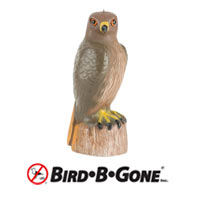 Bird-B-Gone Logo
