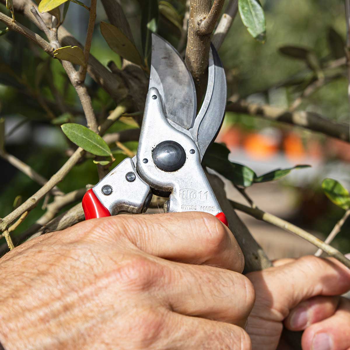 FELCO 11 Narrow-Blade Hand Pruner