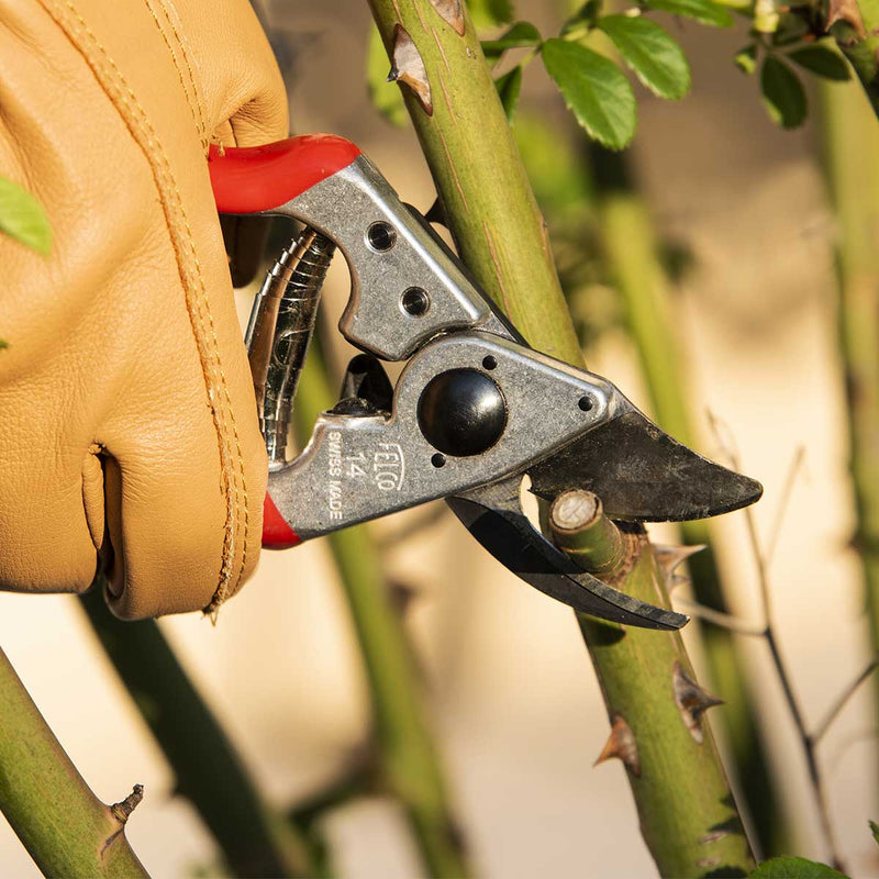 FELCO 14 Ergonomic, Small Hand Pruner