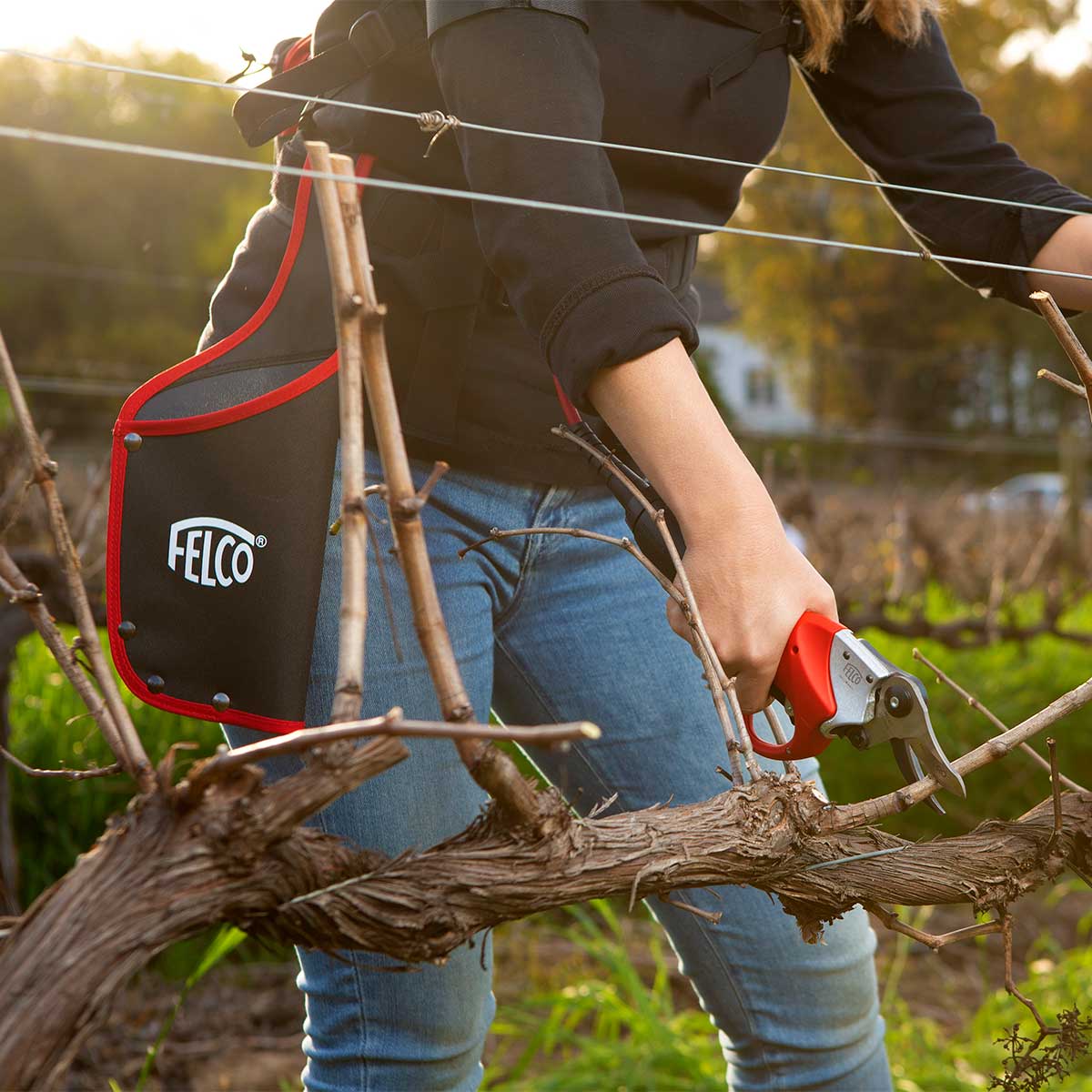 FELCO 802 Electric Pruner Kit Double Capacity Battery