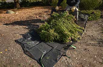 Large wrap for moving leaves
