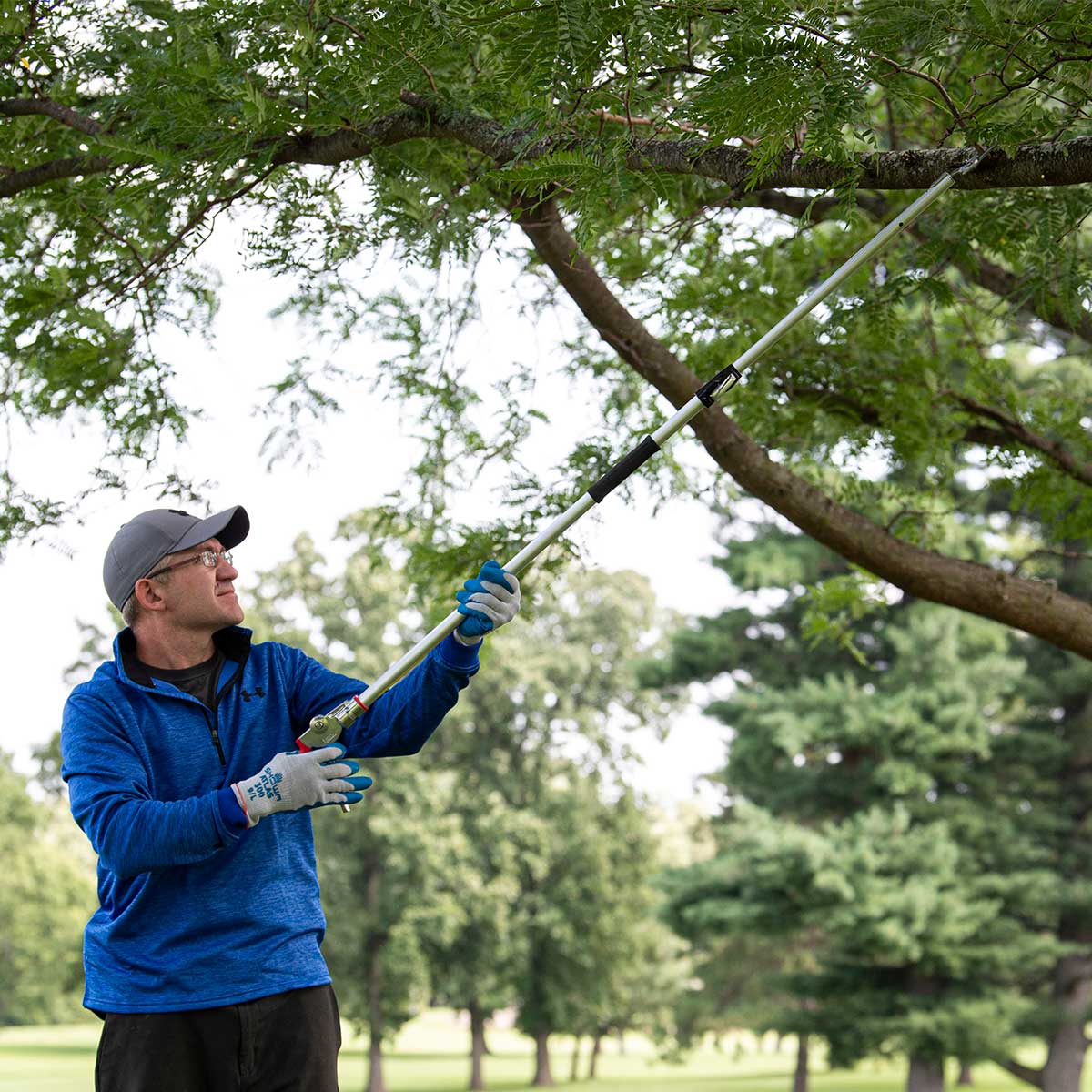 ARS ZF Series Cut-and-Hold Telescopic Tree Pruner