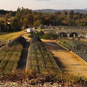 Greenhouses
