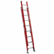 Werner Type IA Fiberglass D-Rung Extension Ladder