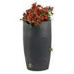 Impressions Havana 50 Gallon Rain Saver
