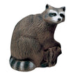Delta McKenzie Backyard 3D Racoon Target