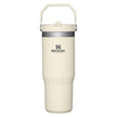 Stanley The IceFlow 30 oz Flip Straw Tumbler