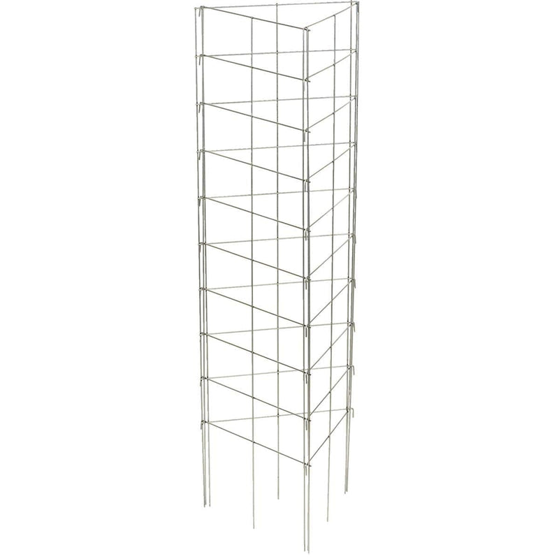 Trellis System for Climbing Plants