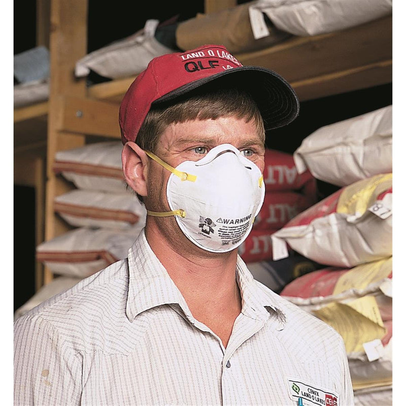8110S N95 Dust/Mist Respirator, Size Small, 20pk