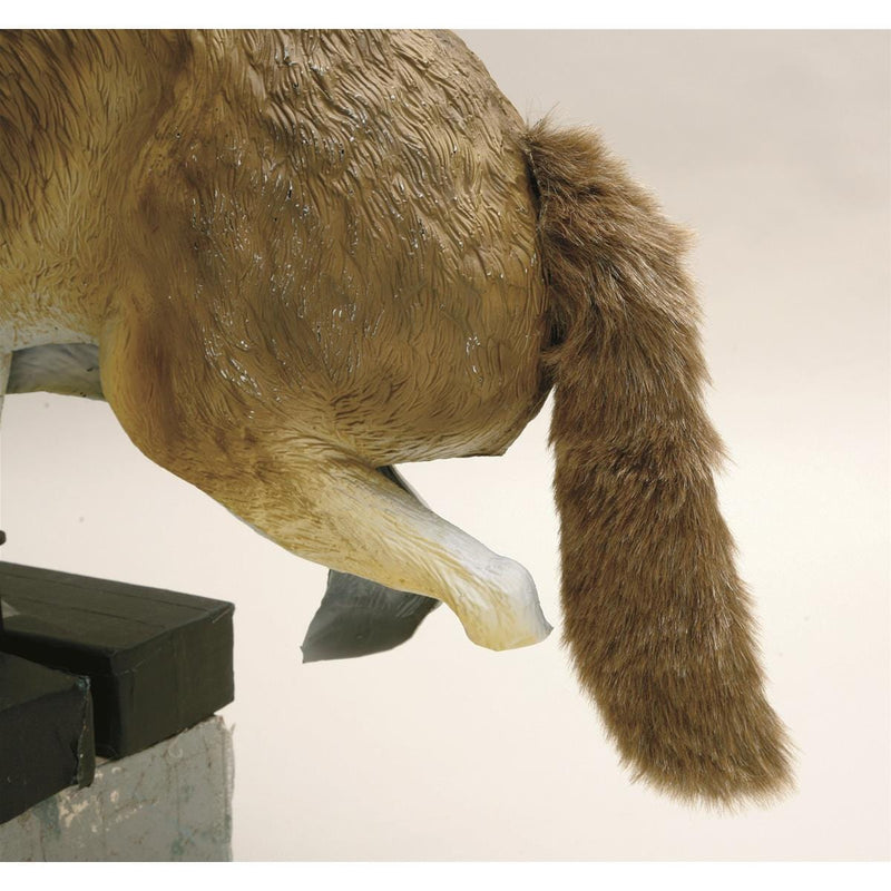 3-D Predator Coyote Decoy