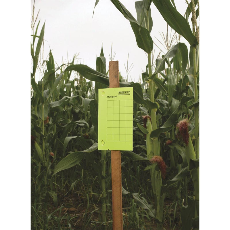 Multigard® Unbaited AM Trap