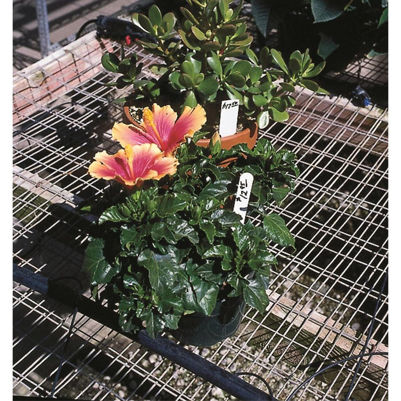 Plastic Plant Labels