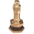 Tubeless Straight Valve Assembly