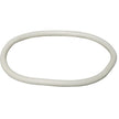 Birchmeier Birchmeier Sprayer Parts -- Lid Gasket 144-129-01
