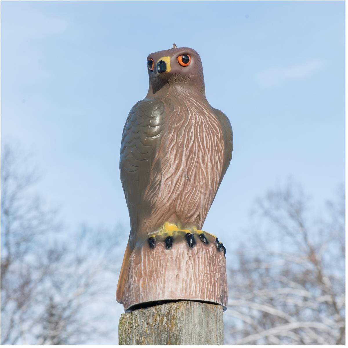 Hawk Decoy