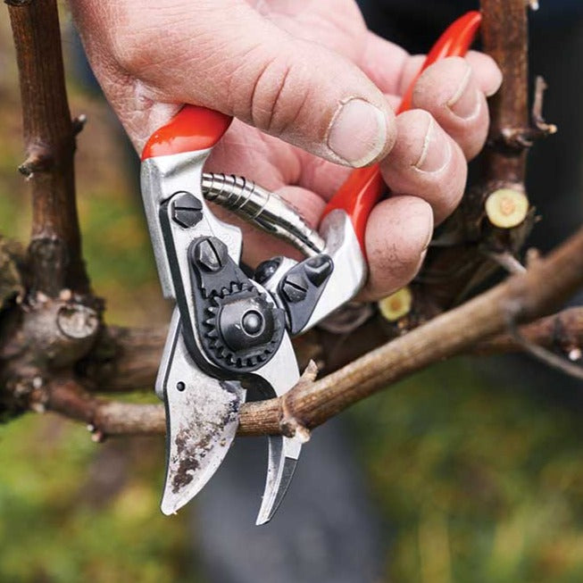 FELCO 14 Ergonomic, Small Hand Pruner
