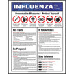 Safety Poster: Influenza Flu Virus 22