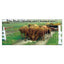 Koehn Drive Thru Electric Cattle Gate