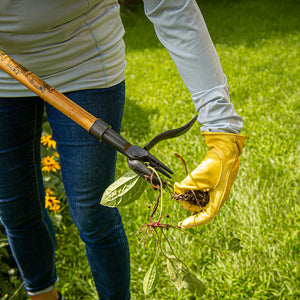 Top 10 Garden Tools for Tough Gardening Problems