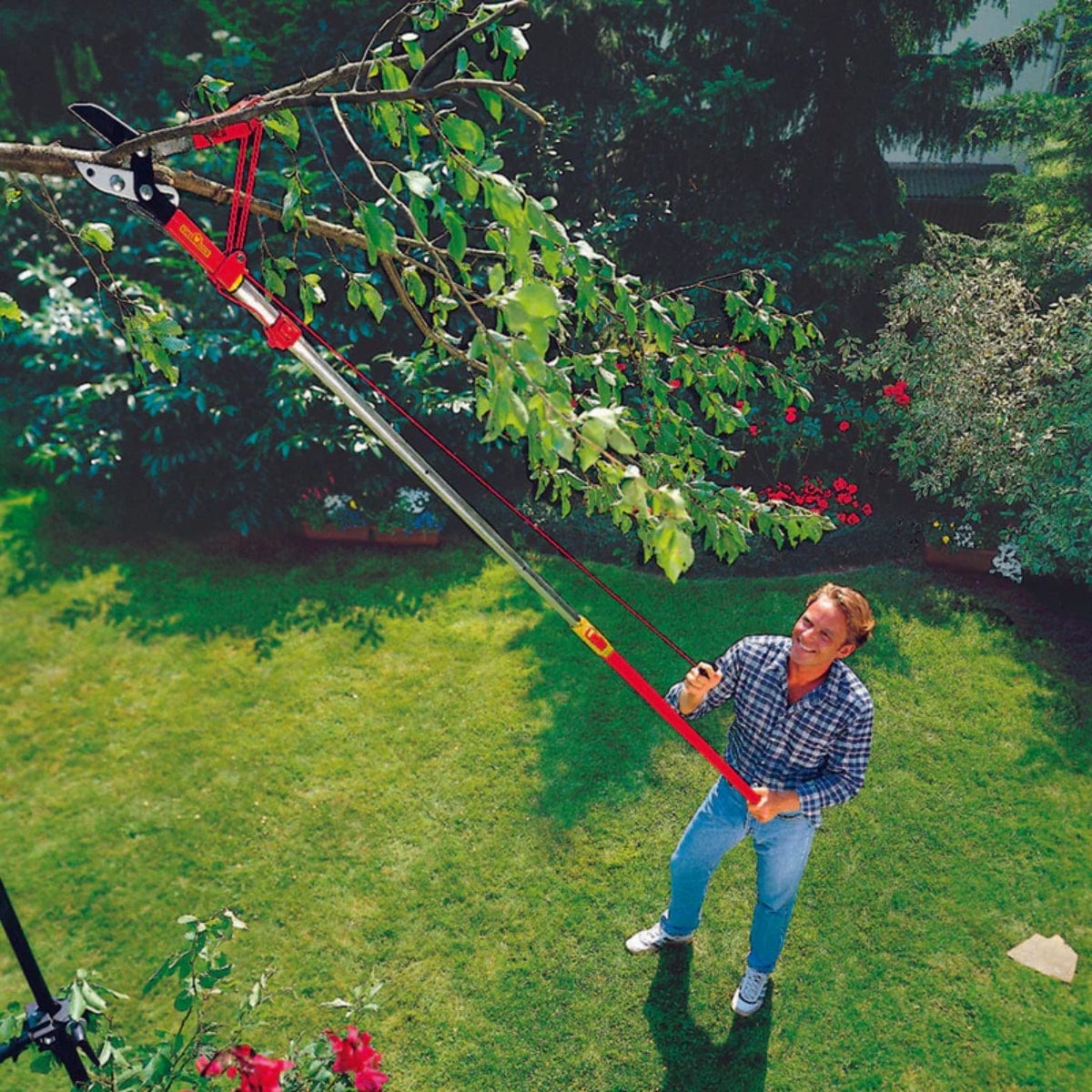 Man using a telescoping handle to prune a tall tree.