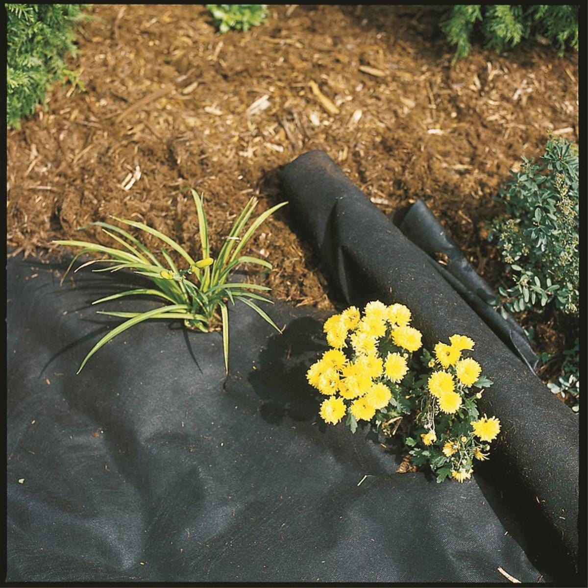 DeWitt 3-oz Nonwoven Weed-Barrier Pro Landscape Fabric