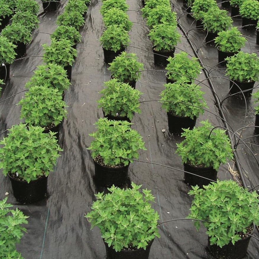 DeWitt UltraWeb 3000 Ground Cover