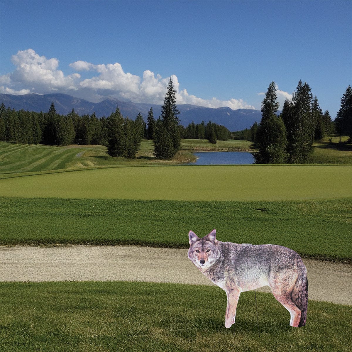 Two-Dimensional Coyote Decoy - Goose Repellent