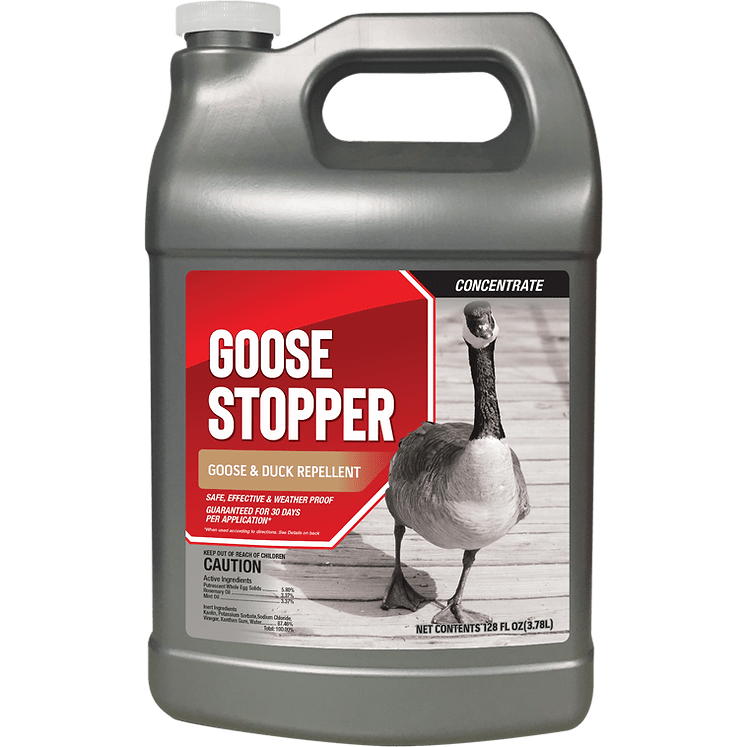 Goose Stopper Goose and Duck Repellent Concentrate