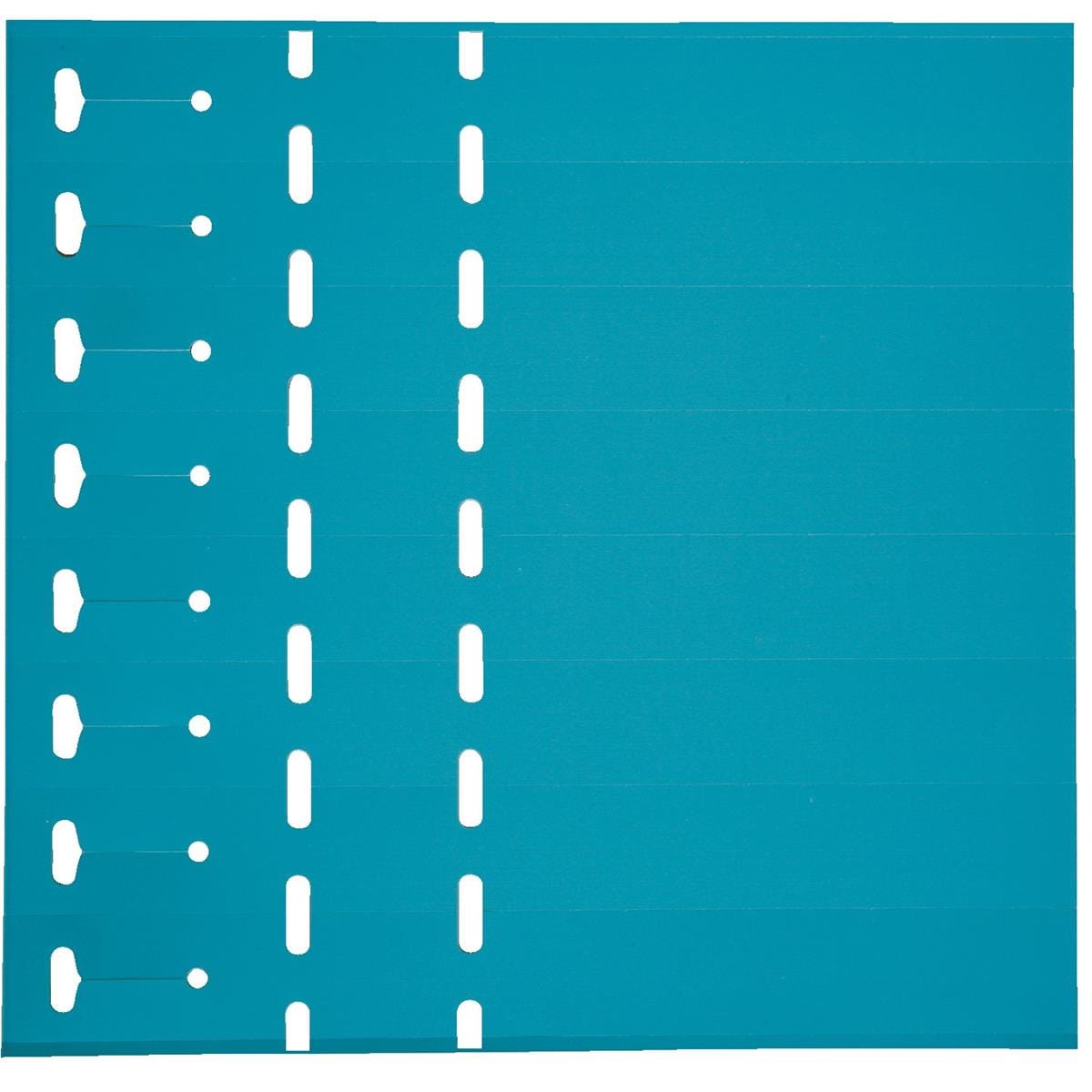 Blue Laser Strip Loop-Lock Tags, 11" x 1", PK. Qty. 1,000