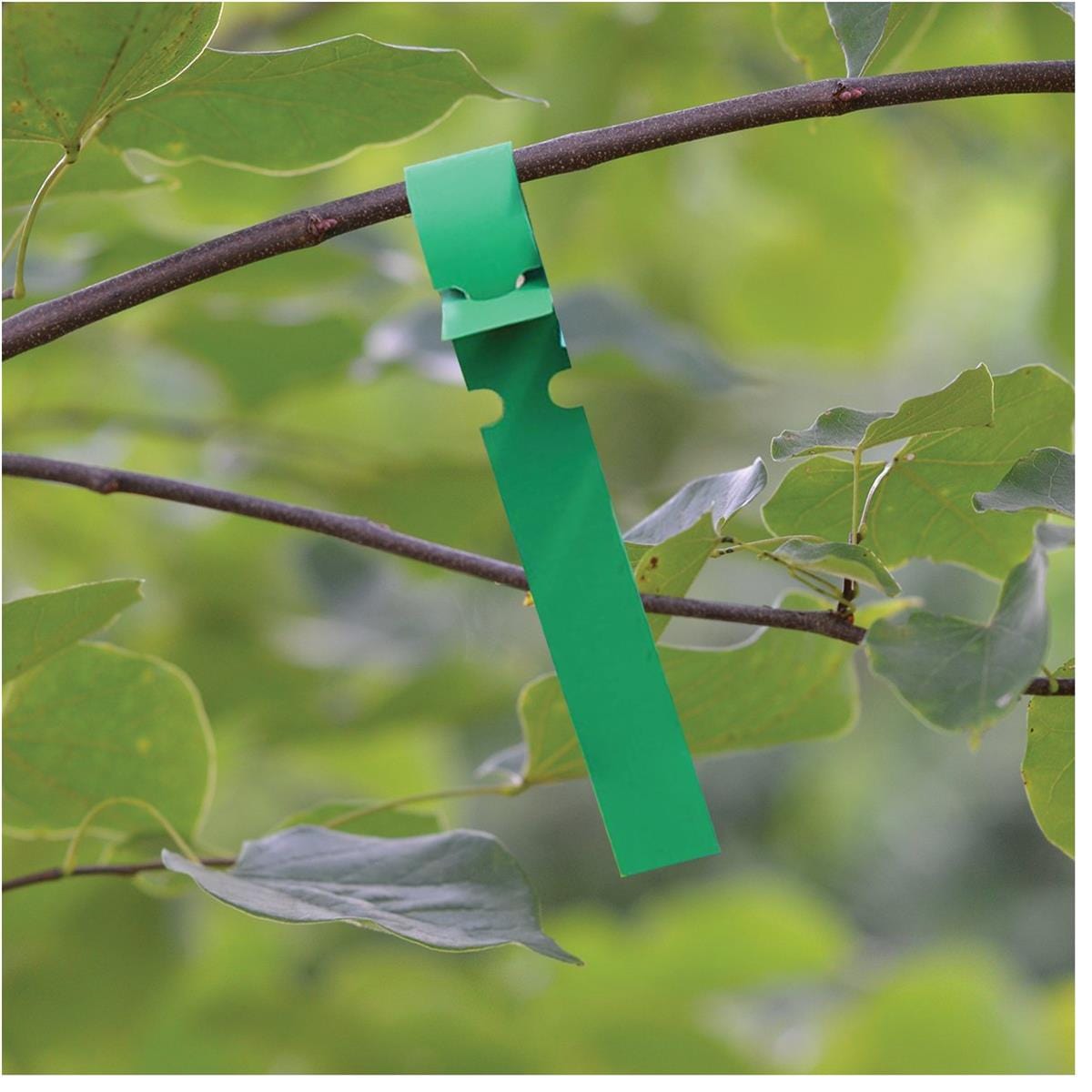 Laser Strip Loop-Lock Tags, 11" x 1", PK. Qty. 1,000