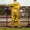 Sugar River by Gemplers Yellow PVC Rain Jacket & Pants