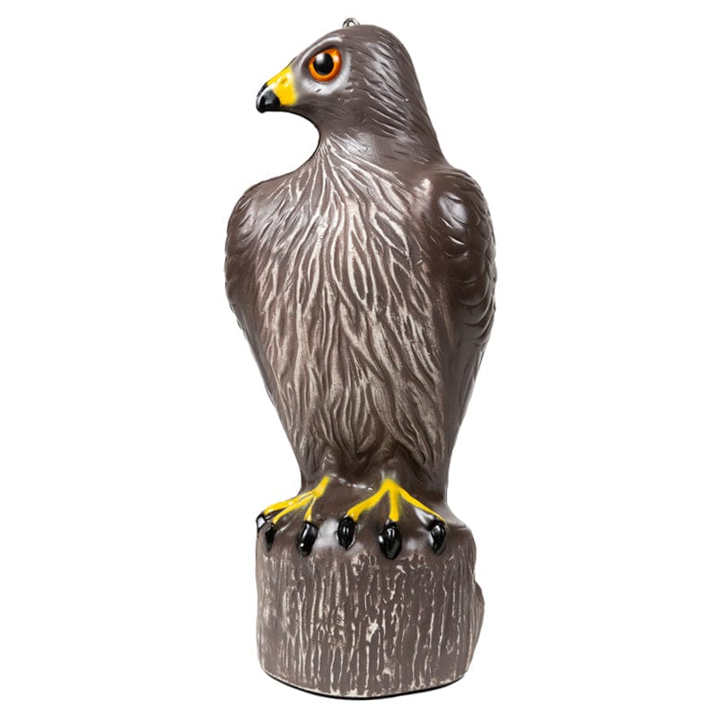 Hawk Decoy
