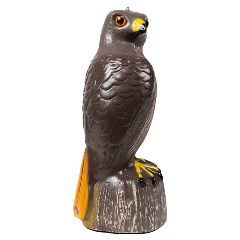Hawk Decoy