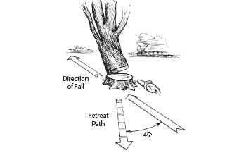 Diagram showing how to properly cut down a tree. Direction of fall, retreat path is 45 degrees opposite of fall
