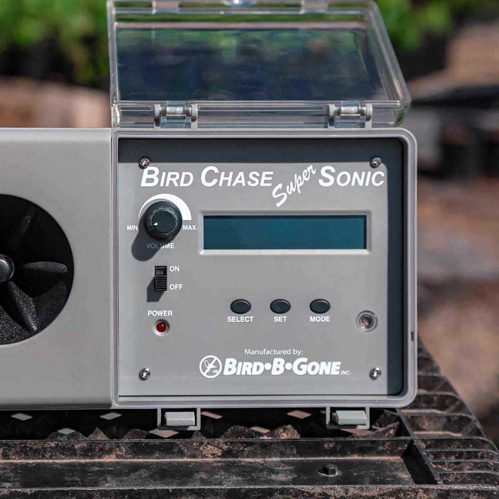 Bird-B-Gone Bird Chase Super Sonic Sound Deterrent in use