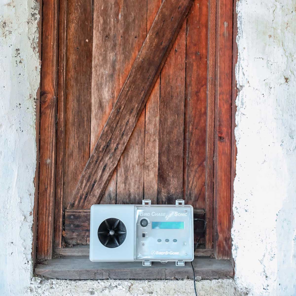 Bird-B-Gone Bird Chase Super Sonic Sound Deterrent In Use+++Bird-B-Gone Bird Chase Super Sonic Sound Deterrent In Use