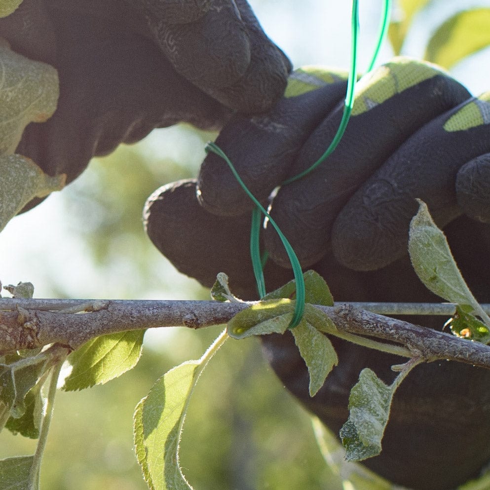 Closeup of Bond Plastic-Coated Wire Ties