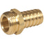 Apache Brass Male Hose Fitting