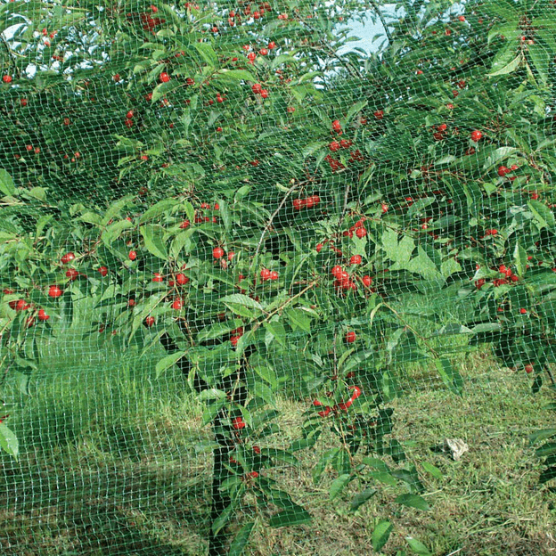 TENAX Ortoflex Bird Netting