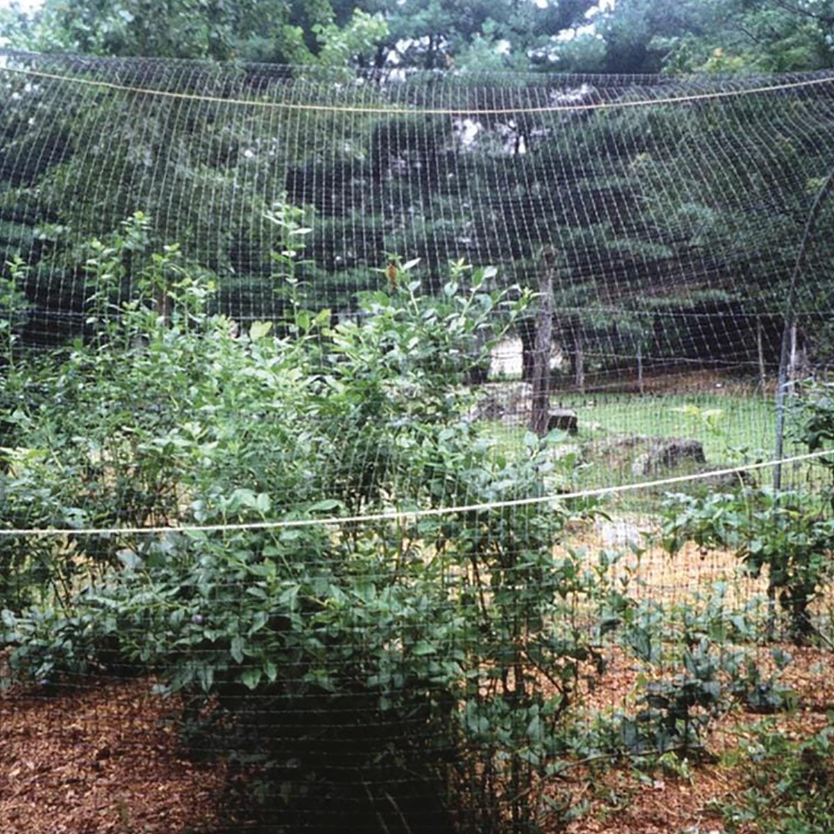 Tenax Ornex LM Bird Barrier Fencing