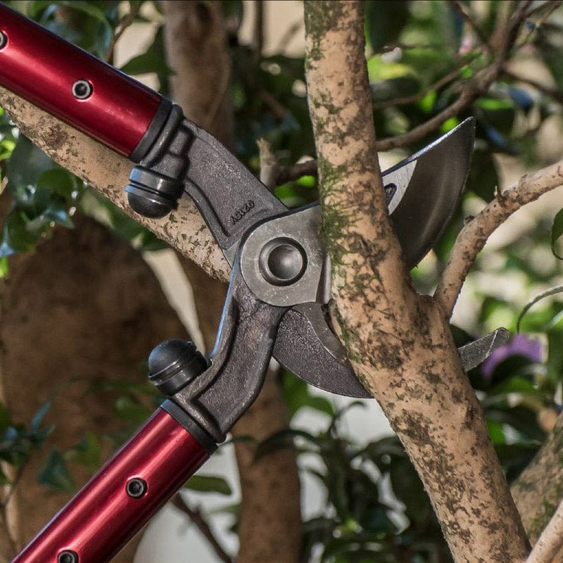 Corona WL-3351 WL 3351 - Tijeras de podar, 66 cm, color rojo Corona WL-3351 WL 3351 - Tijeras de podar, 66 cm, color rojo