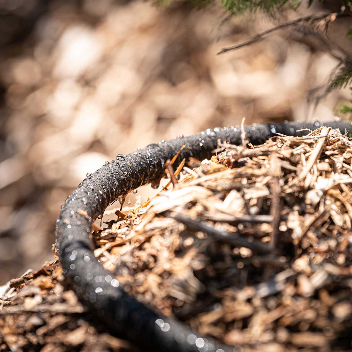 Dramm soaker hose showing detail of how the water seeps through to provide watering slowly and steadily to new trees and shrubs.