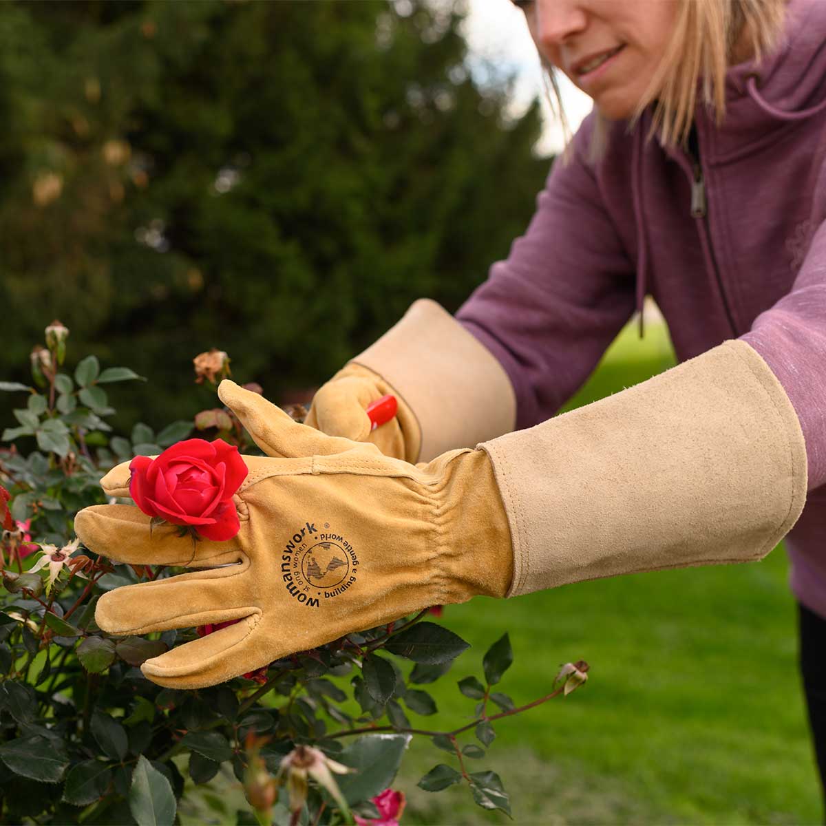 Womanswork Women's Thorn-Stopping Pigskin Rose Gloves In Use+++Womanswork Women's Thorn-Stopping Pigskin Rose Gloves In Use