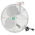 Fans