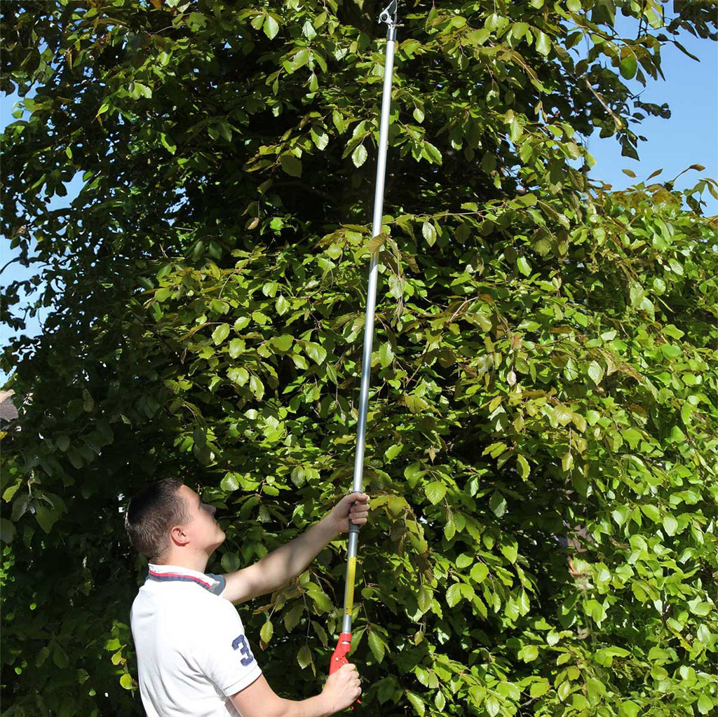 ARS LR Series 7' LongReach Heavy Duty Tree Pruner | 2 Pack